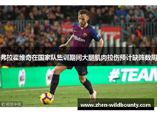 弗拉霍维奇在国家队集训期间大腿肌肉拉伤预计缺阵数周 弗拉霍维奇在国家队集训期间大腿肌肉拉伤预计缺阵数周