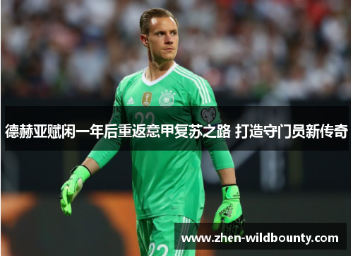 德赫亚赋闲一年后重返意甲复苏之路 打造守门员新传奇