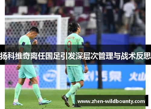 扬科维奇离任国足引发深层次管理与战术反思