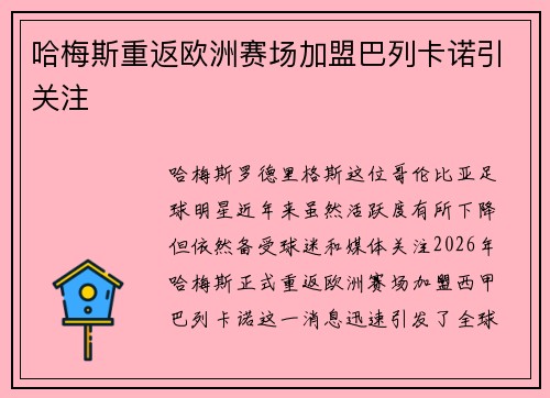 哈梅斯重返欧洲赛场加盟巴列卡诺引关注