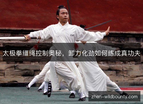 太极拳缰绳控制奥秘，卸力化劲如何练成真功夫